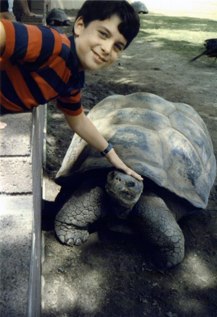 1986-08 San Diego Zoo Turtle.jpg