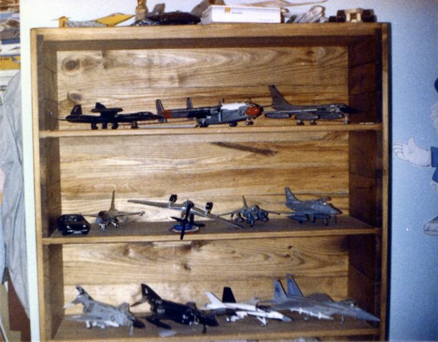 1990-01 Model Airplane Collection.jpg