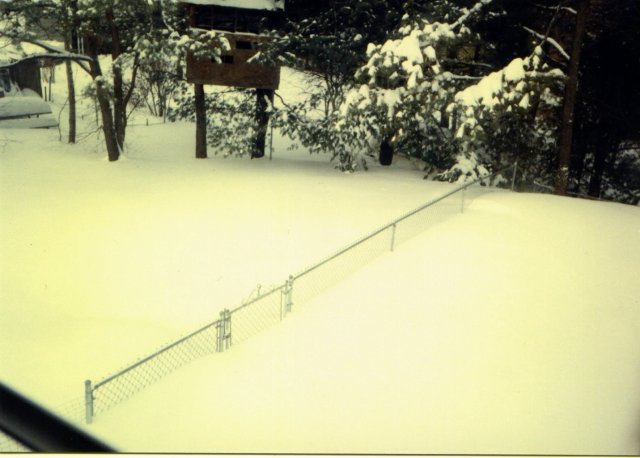 1993-01 Deep Snow in the Back Yard.jpg