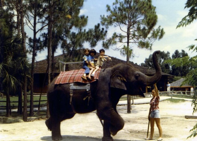 1981-06 Lion Country Safari Elephant Ride.jpg