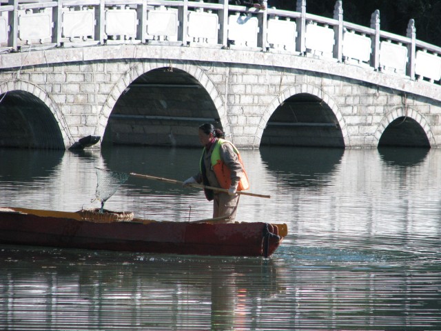 IMG_3739.jpg