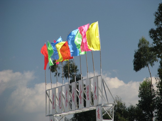 IMG_4238.jpg