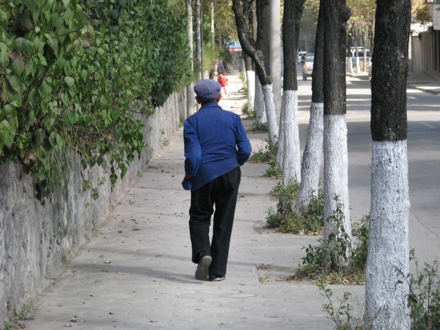IMG_4240.jpg