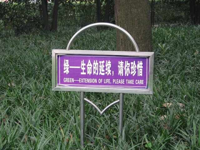 IMG_3026.jpg