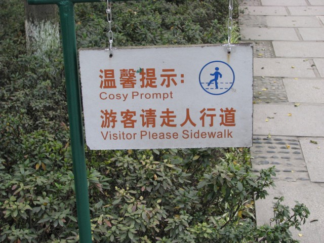 IMG_3590.jpg