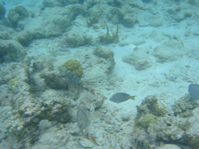 IMG_0566.jpg