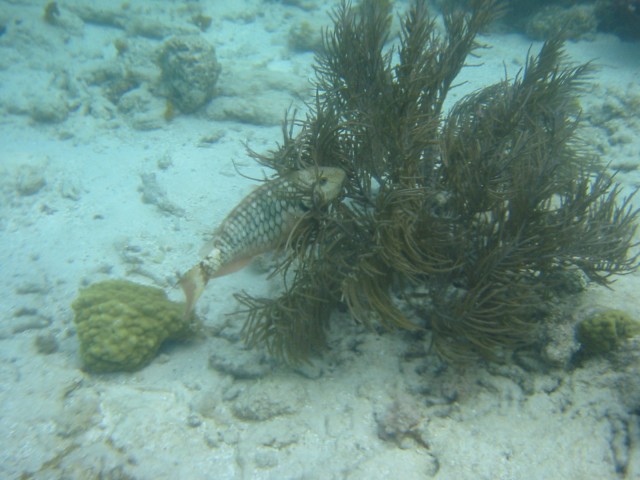 IMG_0567.jpg