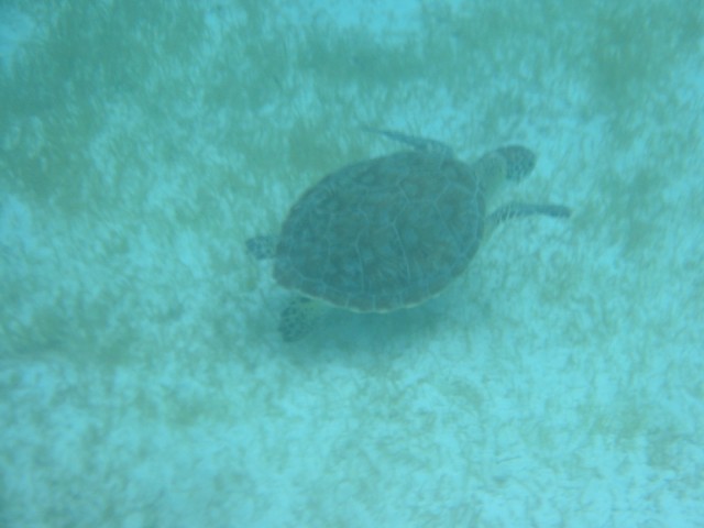 IMG_0574.jpg