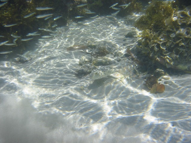 IMG_0700.jpg