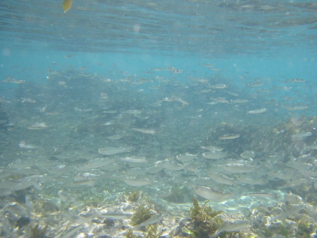 IMG_0716.jpg