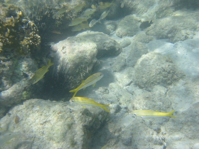 IMG_0735.jpg