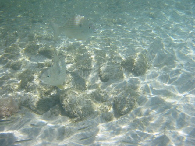 IMG_0764.jpg