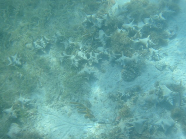 IMG_0863.jpg