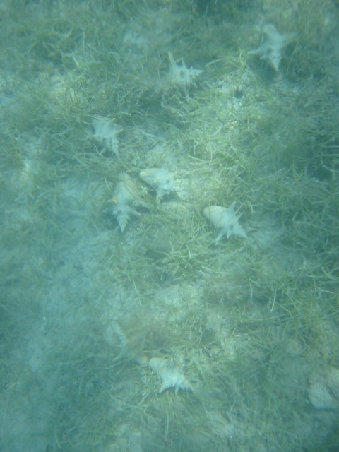 IMG_0864.jpg