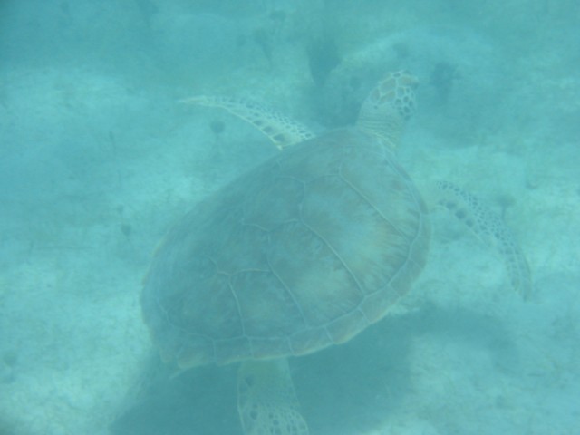 IMG_0900.jpg