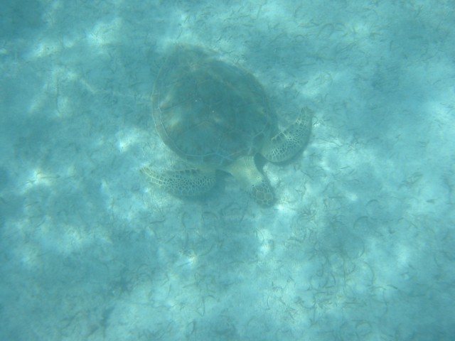 IMG_0914.jpg