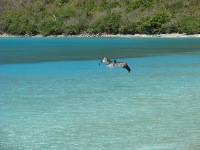 IMG_5671.jpg