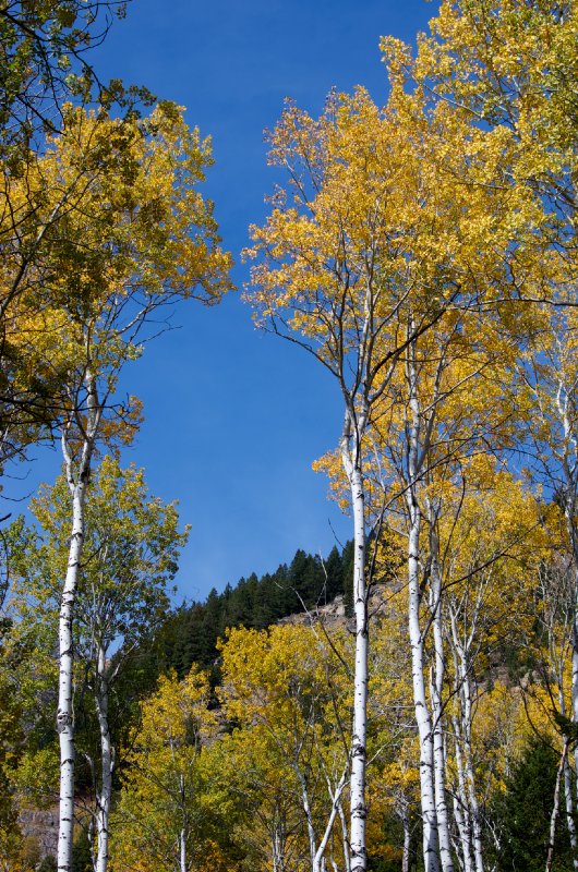 IMGP8957.jpg