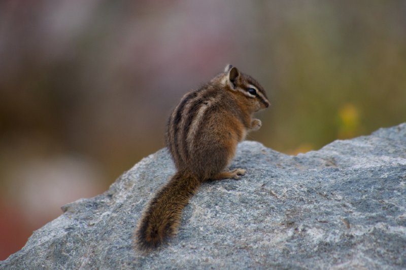 IMGP9035.jpg