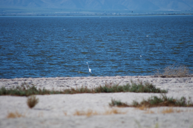 IMGP6245.jpg