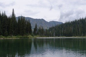 IMGP2302